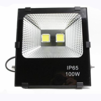 ER-EL LIGHT PROIECTOR LED 100W CW 4203.0420